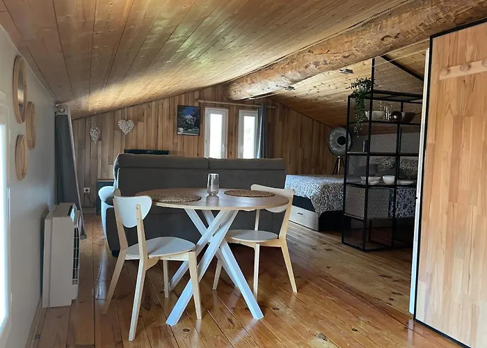 Sublime Studio De Caractere ,50 M2 Climatise .